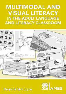 Multimodal and Visual Literacy (Workbook)